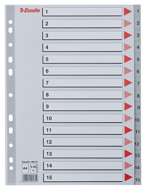 Esselte Registru PP A4 1-12 gri